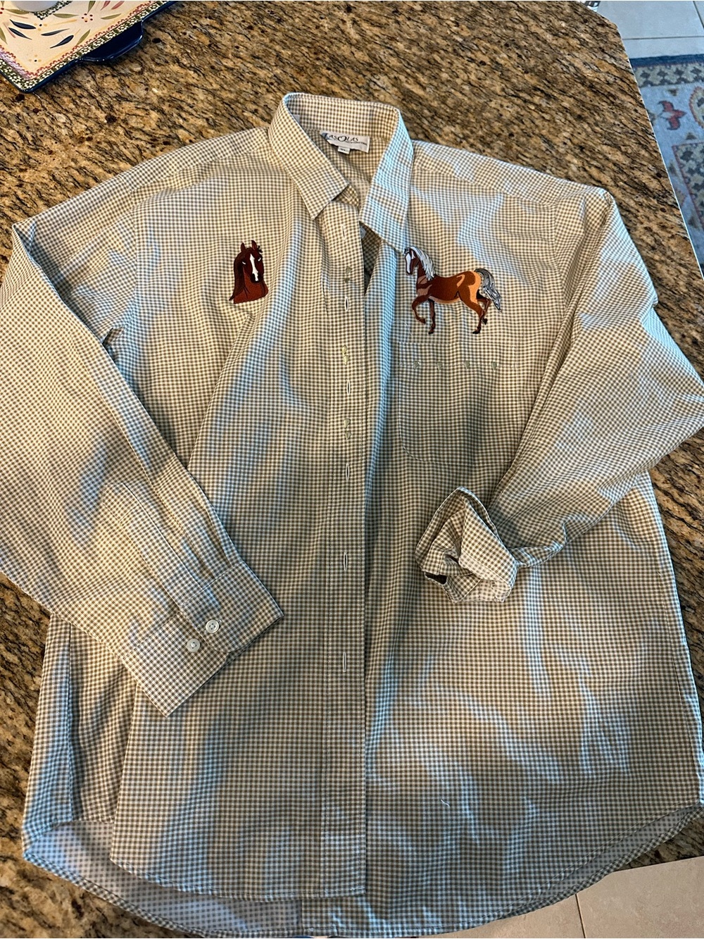 Button-Down Check Shirt with Horse Embroidery - Brown/White
